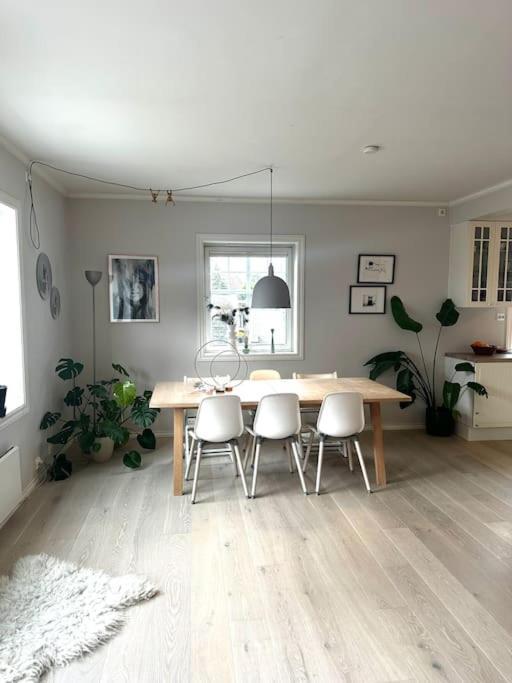 Romslig Naer Sentrum Leilighet Stavanger