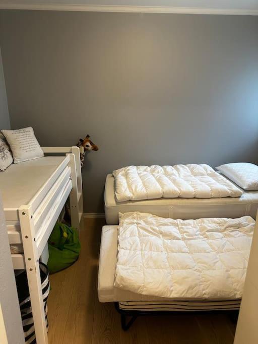 Romslig Naer Sentrum Leilighet Stavanger